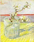 Sprig of Flowering Almond Blossom in a glass